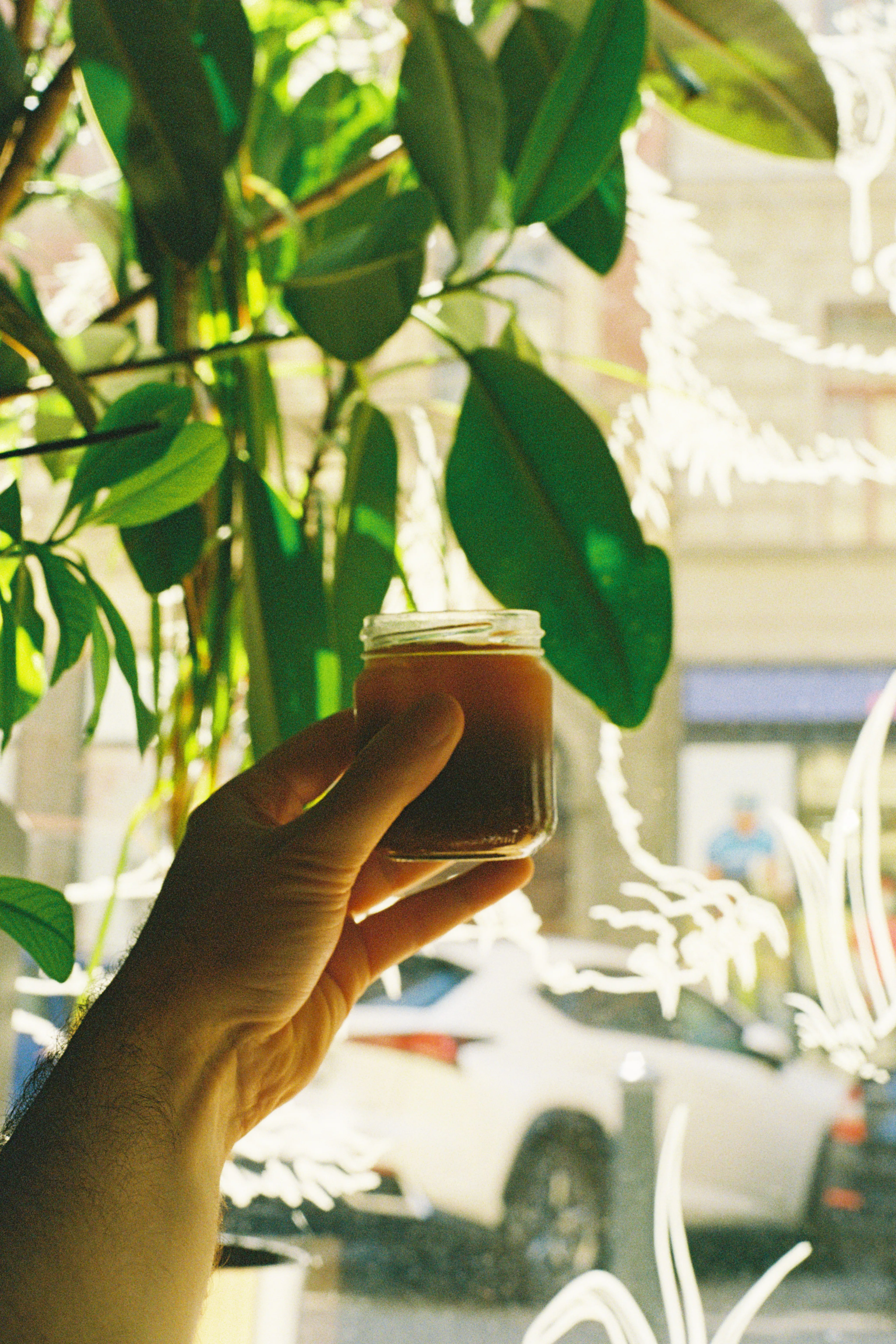 A hand holding a small glass jar of coffee up behind the leaves of a plant in a café window.